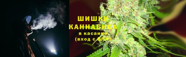 спайс Алексин
