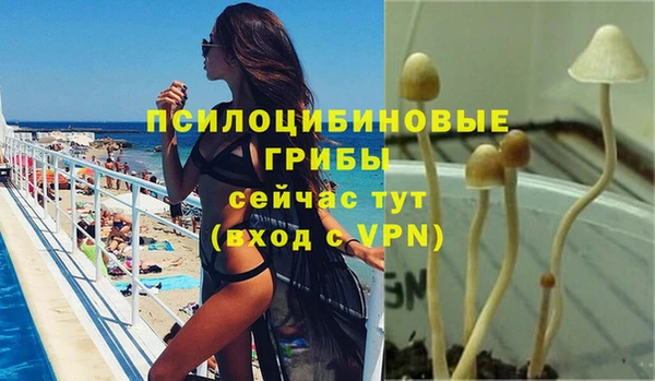 PSILOCYBIN Алзамай