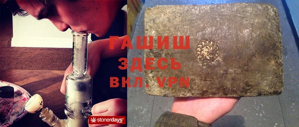 PSILOCYBIN Алзамай