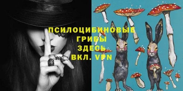 ешки Алексеевка