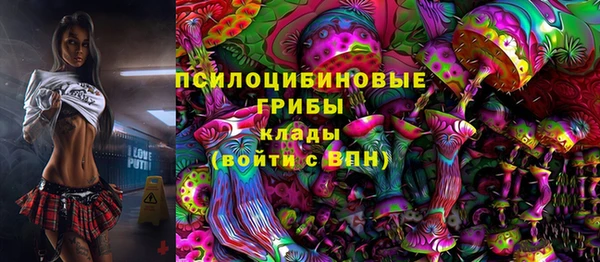 PSILOCYBIN Алзамай