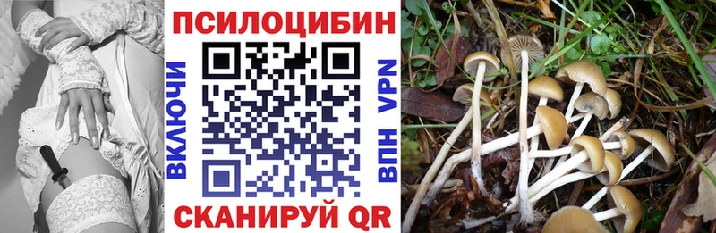 Псилоцибиновые грибы MAGIC MUSHROOMS  Обоянь 